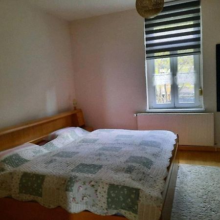 جيرنروده هارتس Ferienwohnung Emilia المظهر الخارجي الصورة