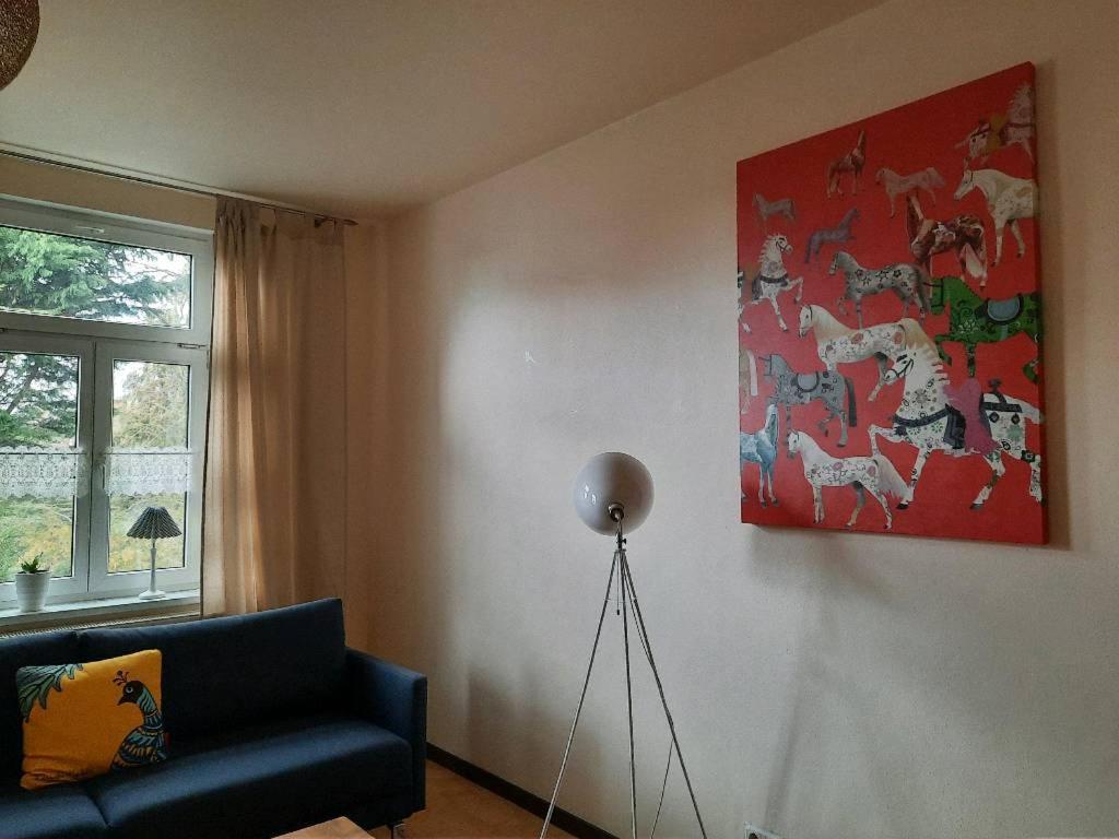 جيرنروده هارتس Ferienwohnung Emilia المظهر الخارجي الصورة